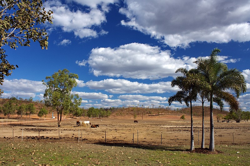 2009-11-06 22-00-24_3.jpg - Mt Bundy Station - für uns das Tor zum Litchfield NP - eine Farm im Nirgendwo...